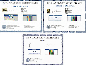 DNA certificates