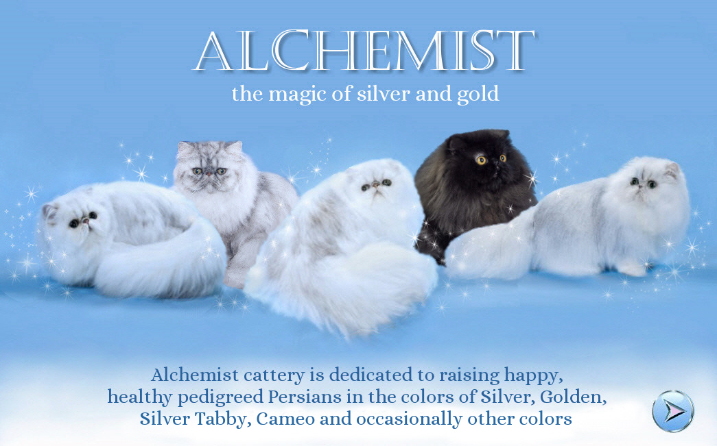 This image was stolen from www.alchemistpersians.com